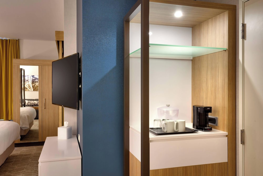 SpringHill Suites by Marriott Coralville - photo 8