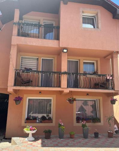 Cabana Mea Straja in Lupeni, Romania