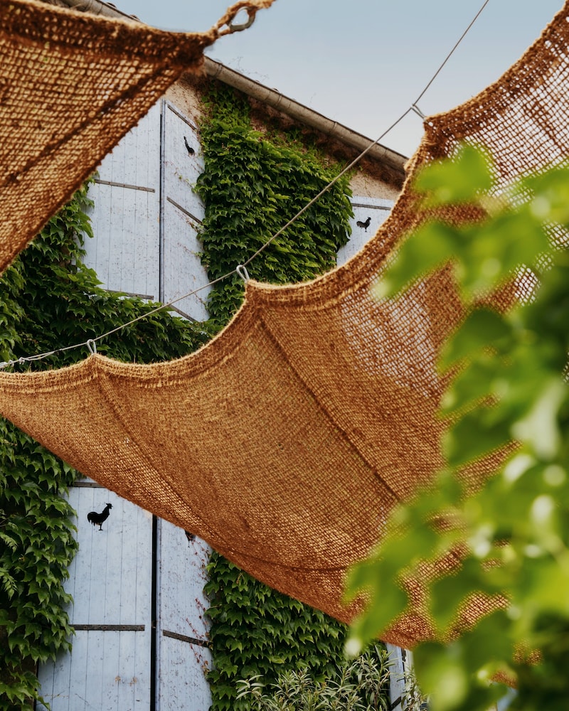 Coq Hôtel — Cogolin — photo 2
