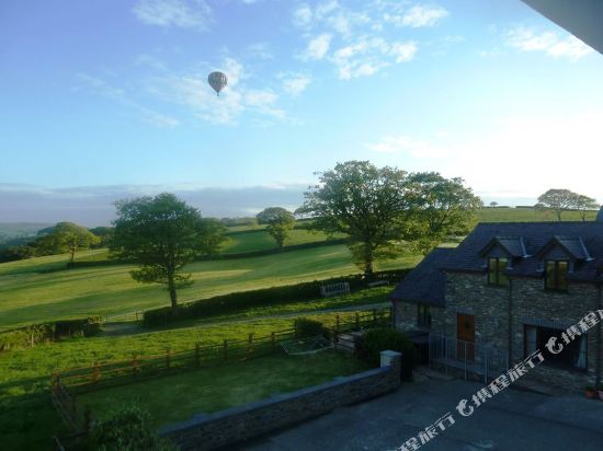 Gwarffynnon — Lampeter — photo 2