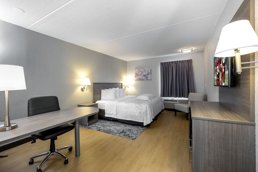 Red Roof Inn Plus Boston Mansfield Foxboro — Mansfield