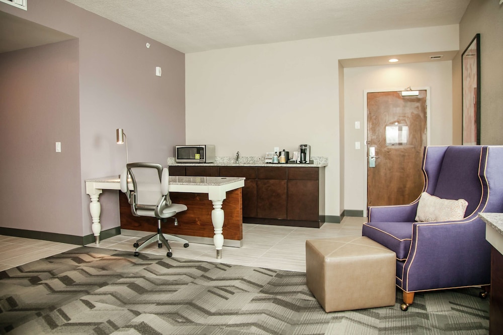 Hilton Garden Inn Tampa Suncoast Parkway - photo 24