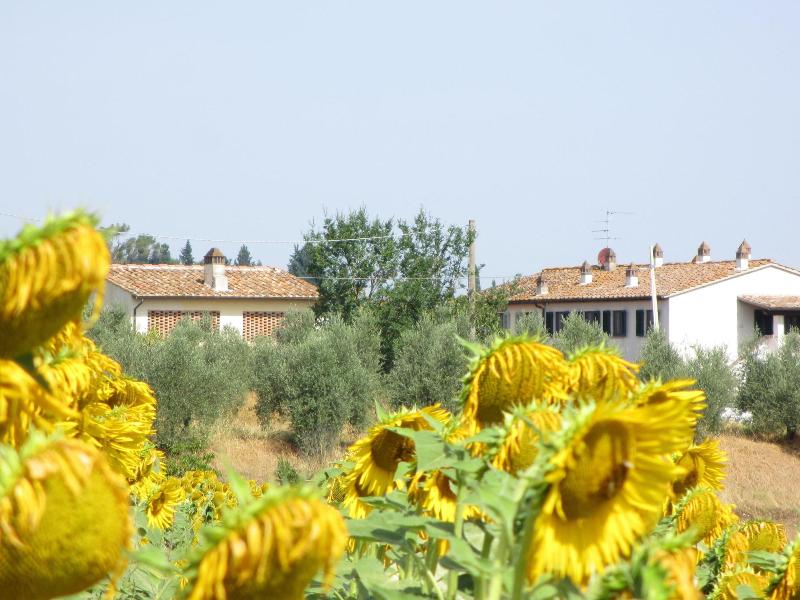 Locanda Le Boscarecce in Castelfiorentino, Italy