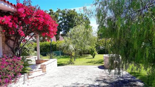 BouganVilla in Polignano A Mare, Italy