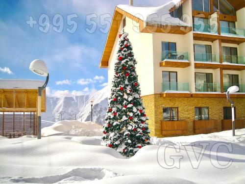 GVC 510 New Gudauri Mountain view