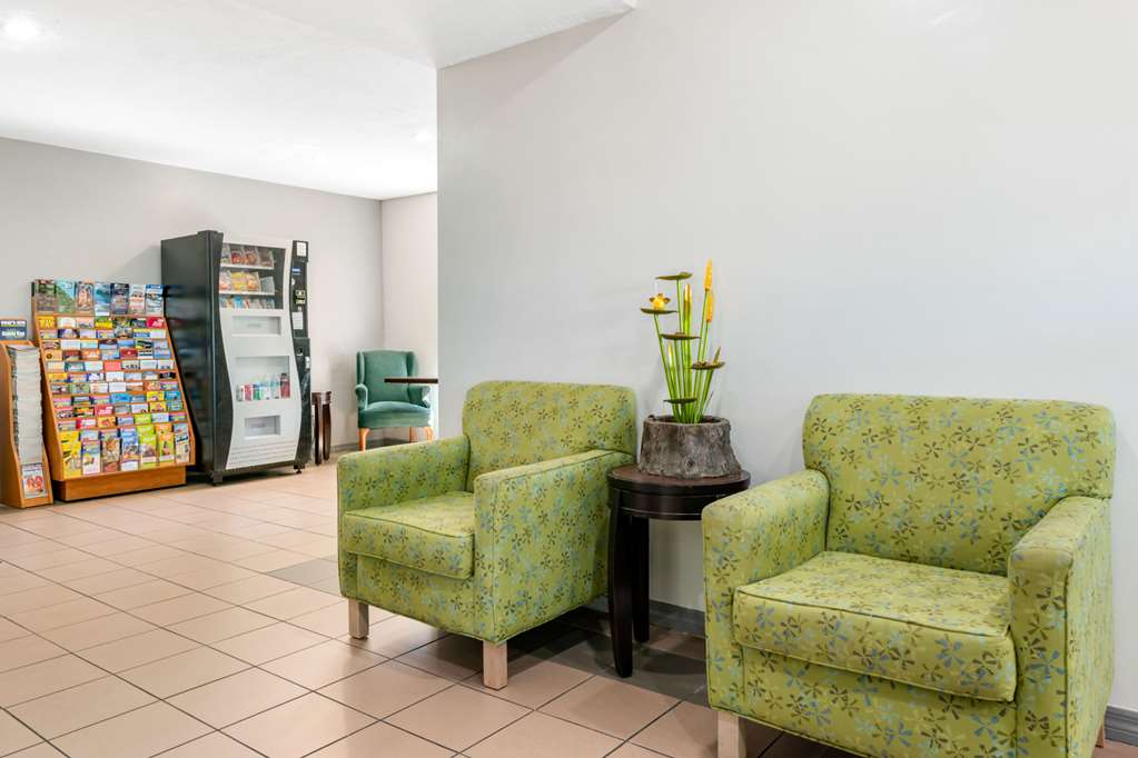 Quality Inn Sarasota North Near Lido Key Beach - photo 4