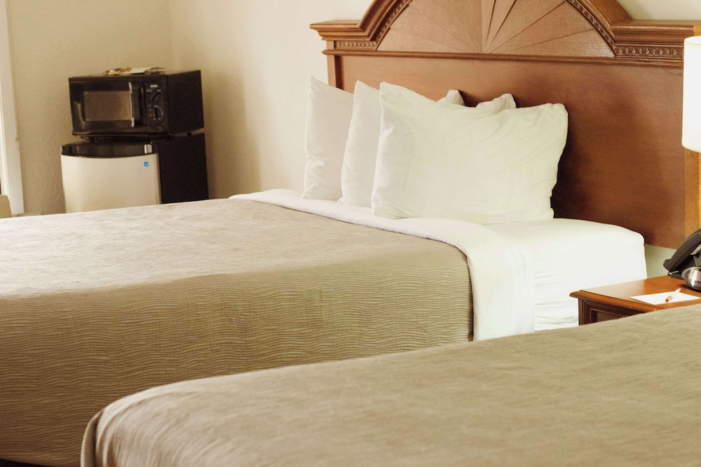 Quality Inn near Chattanooga South - photo 6