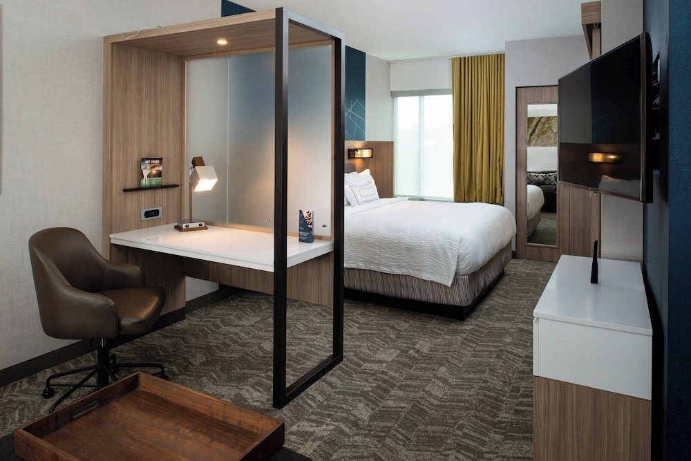 SpringHill Suites by Marriott Elizabethtown - photo 12