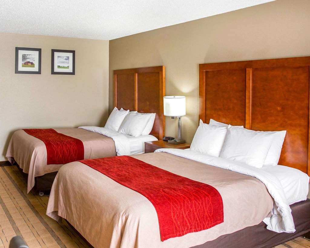 Comfort Inn & Suites Coralville Iowa City near Iowa River Landing - photo 13