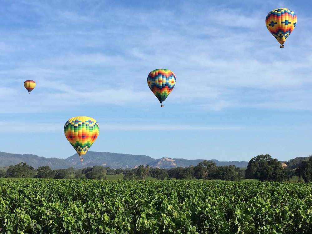 Napa Valley Hotel & Suites - photo 51