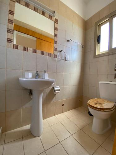 Luxury Villa Phaedra — Chlorakas — photo 4