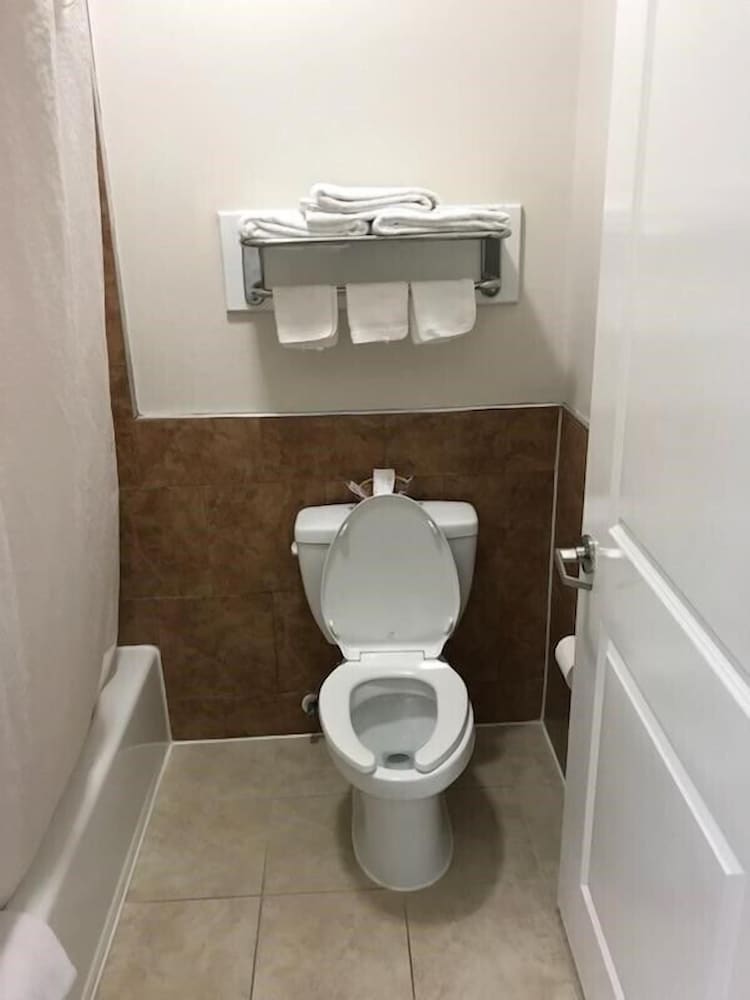Palace Inn Greenspoint - photo 10