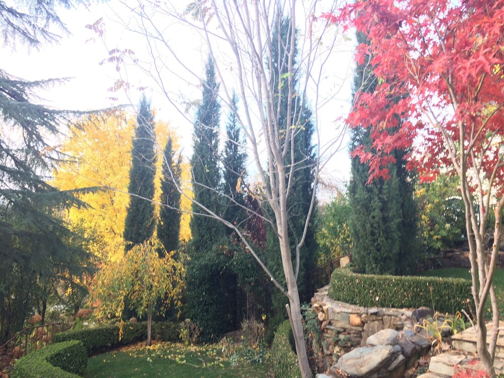 Barretta Gardens Inn - photo 57