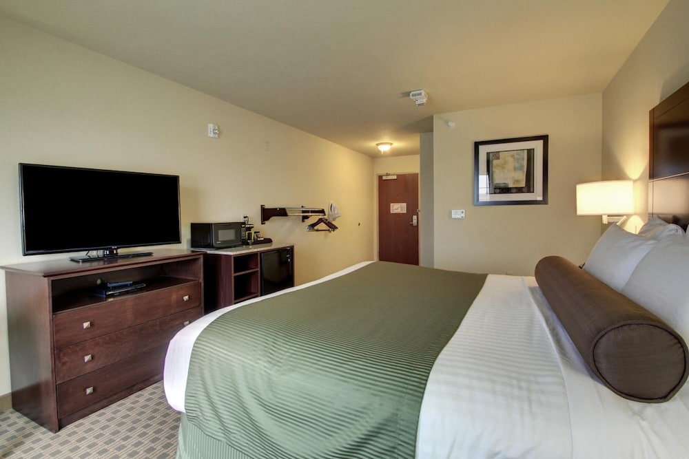 Cobblestone Hotel & Suites Waynesboro - photo 20