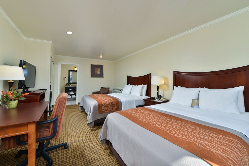 Blu Pacific Hotel - photo 16