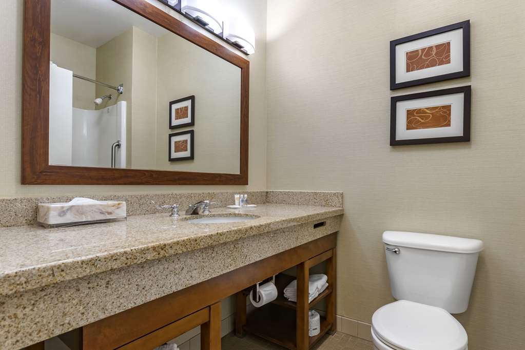 Comfort Suites Coralville I 80 - photo 20