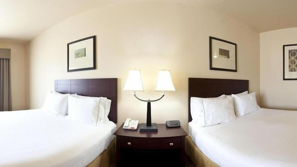 Holiday Inn Express & Suites Marshall by IHG - photo 9