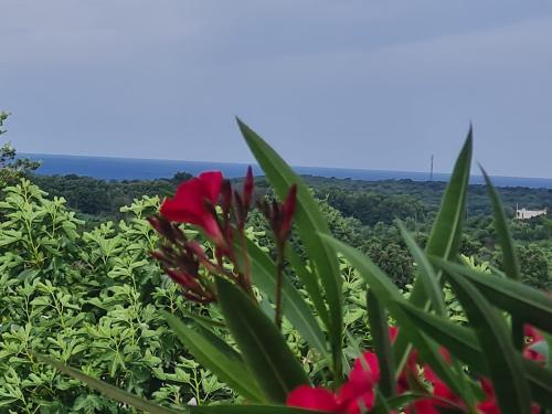Ferienhaus Villa Marein — 4-Star Luxury Hotel in Porec, Croatia