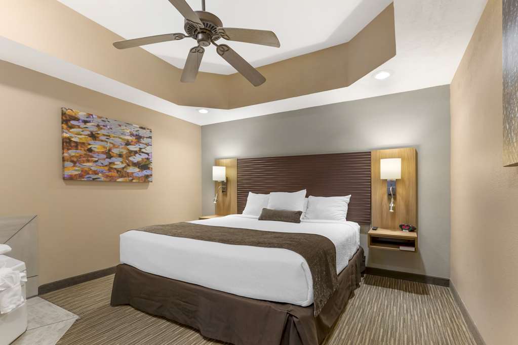 Best Western Plus Landing View Inn & Suites - photo 14