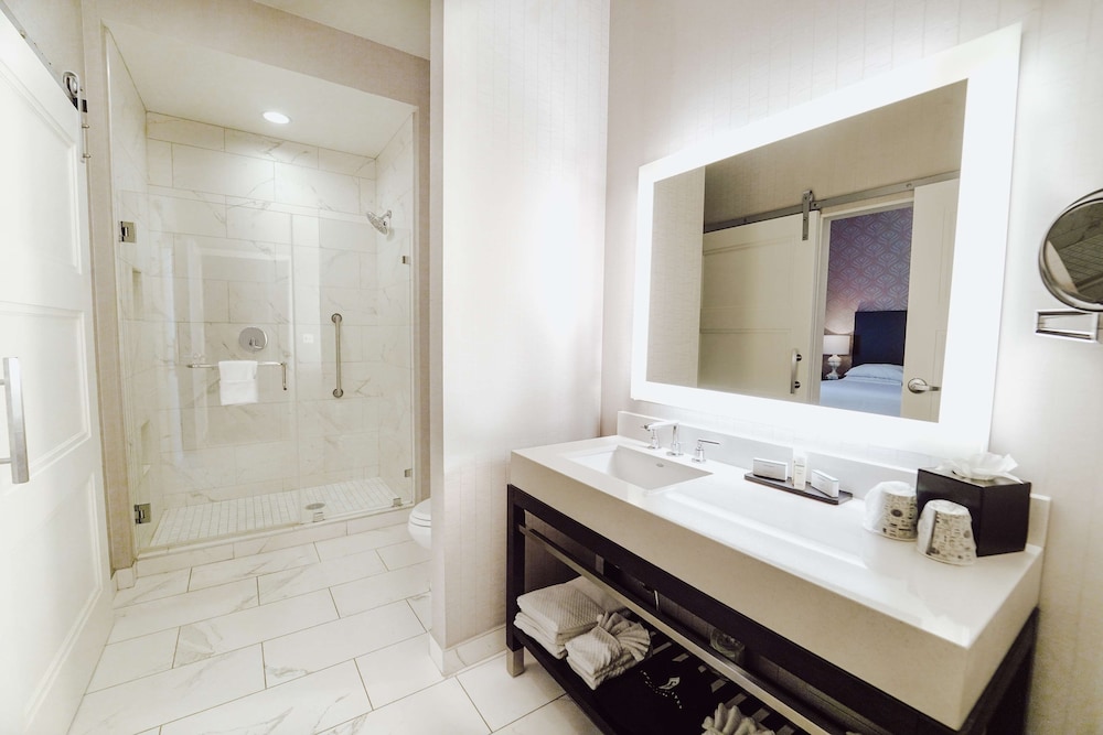 Embassy Suites Louisville Downtown - photo 41