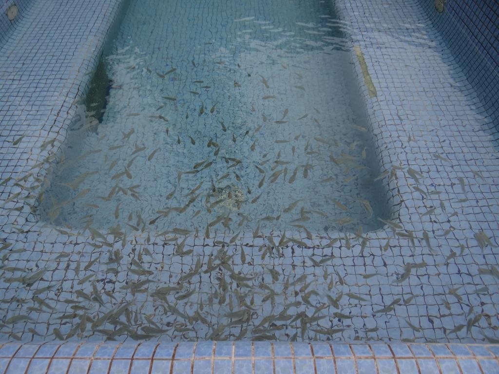 CIRD International Center for Academic Exchanges in Haikou, People's Republic of China