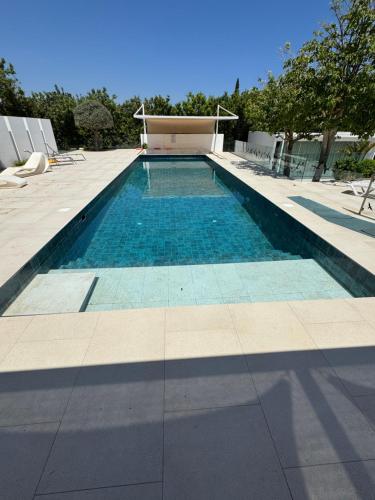 The Olive Tree in Protaras, Cyprus