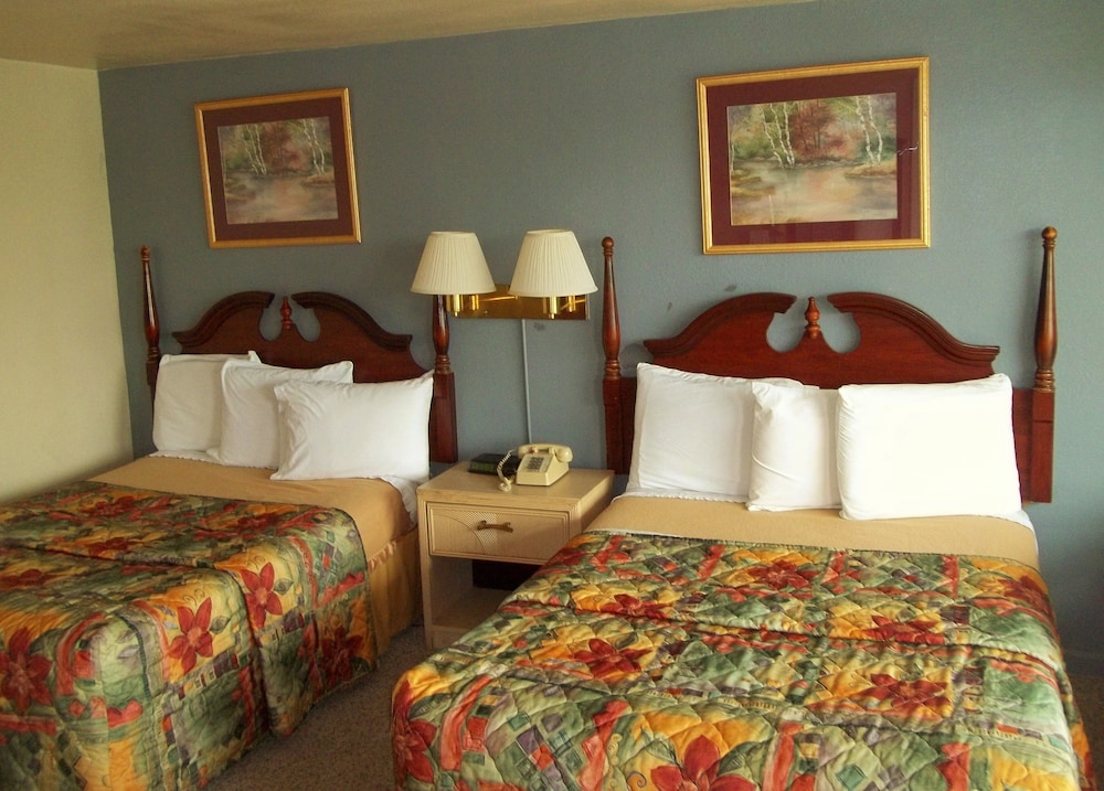 Royal Motel - photo 6