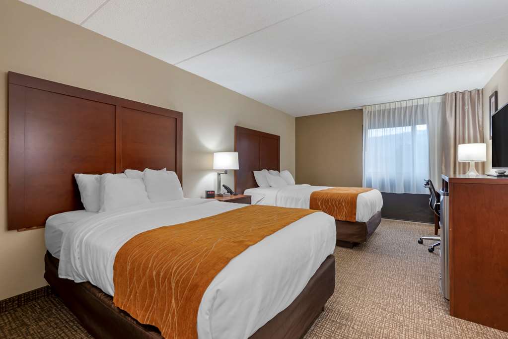 Comfort Inn Binghamton I 81 - photo 6