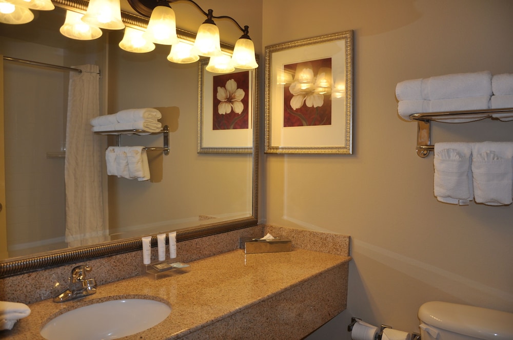 Country Inn & Suites by Radisson Covington LA - photo 8
