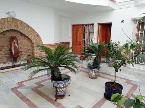 Apartamento Alfalfa — 4-Star Luxury Hotel in Sevilla, Spain