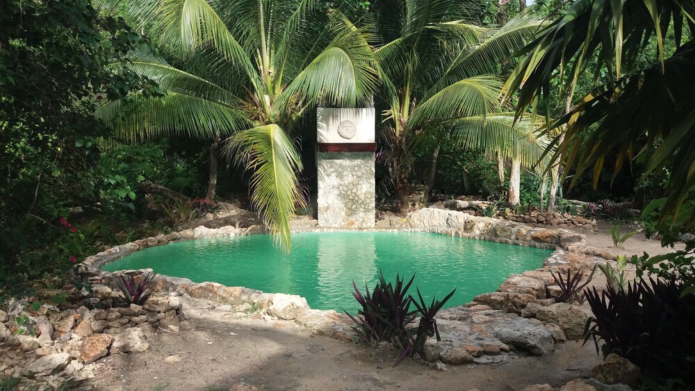 Serenity Retreats Belize A Vegan Resort in Corozal, Belize