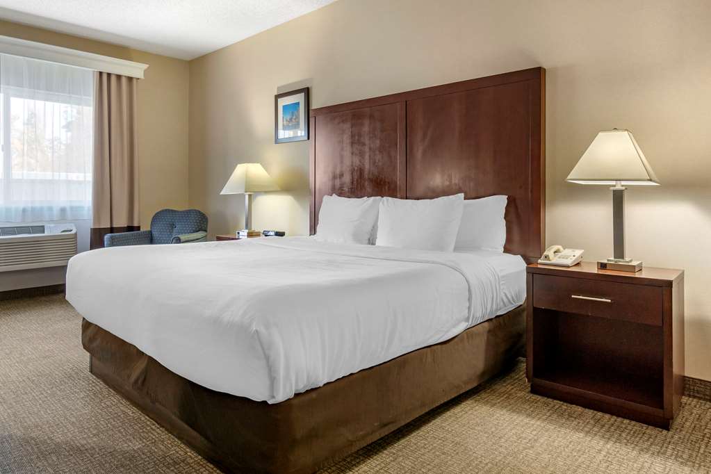 Comfort Inn & Suites Seattle North - photo 16