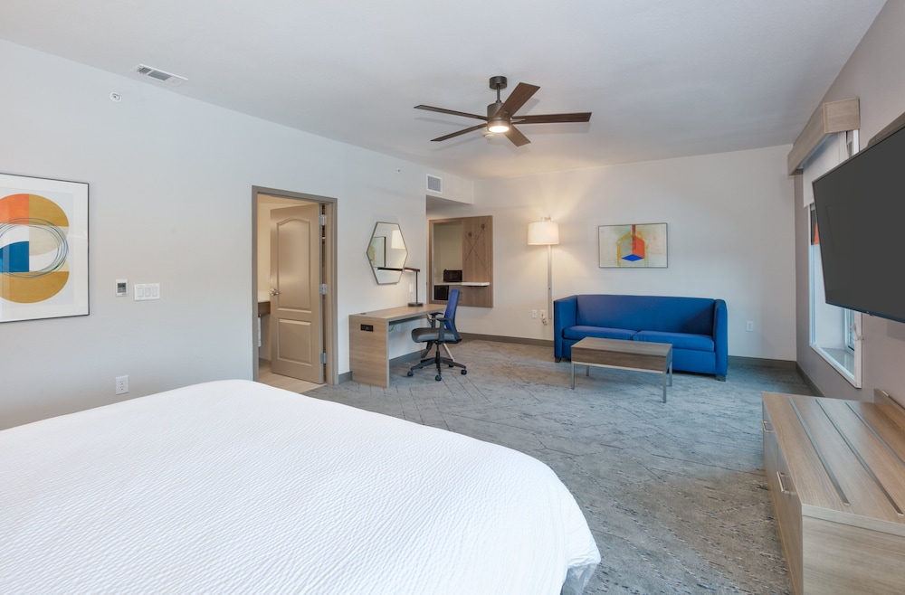 Holiday Inn Express & Suites North Dallas at Preston by IHG - photo 13