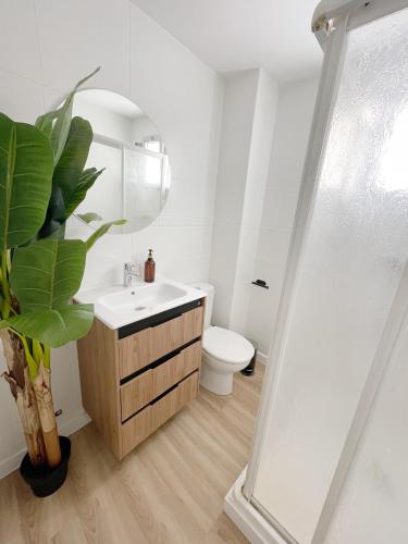 Calm Apartments Estepona Beach: Location beach & old town — 4-Star Luxury Hotel in Estepona, Spain