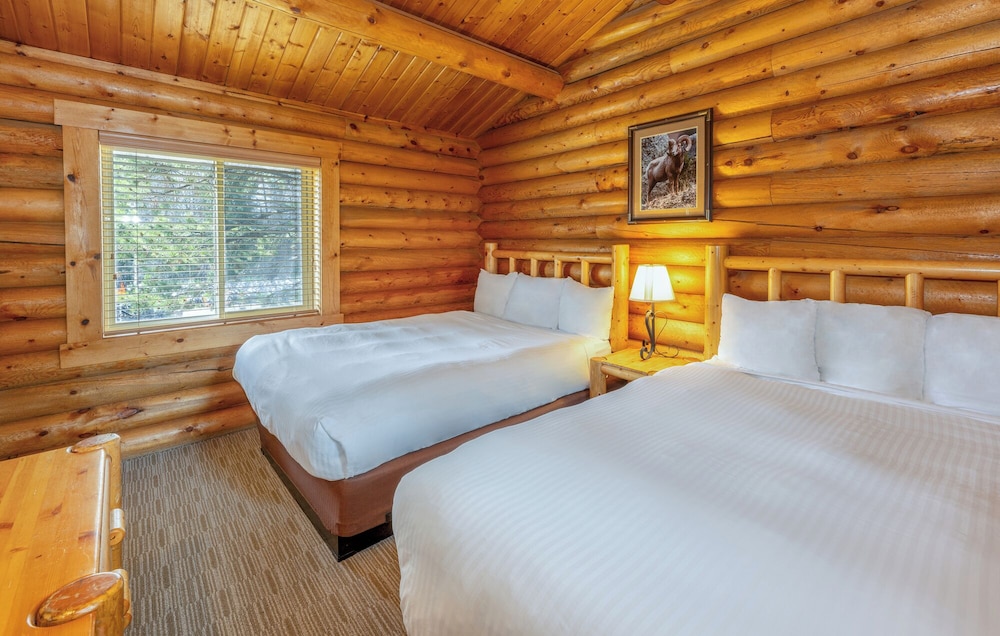 Togwotee Mountain Lodge - photo 6