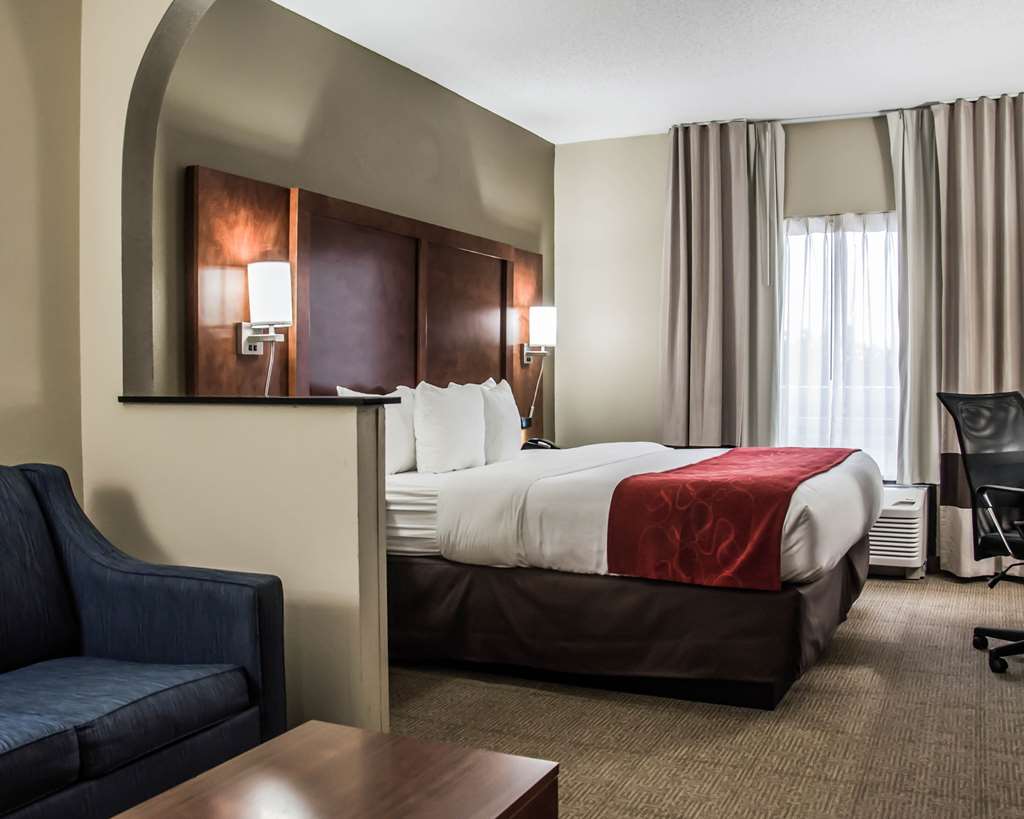 Comfort Suites University Research Park - photo 14