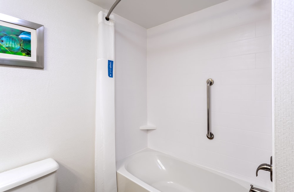 Hampton Inn Spring Hill - photo 30