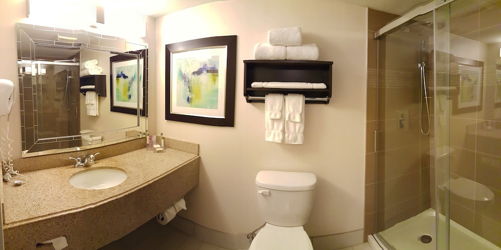Holiday Inn & Suites Syracuse Airport Liverpool by IHG - photo 29