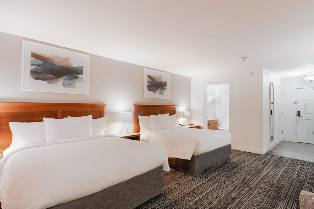 Towneplace Suites Fredericksburg - photo 16