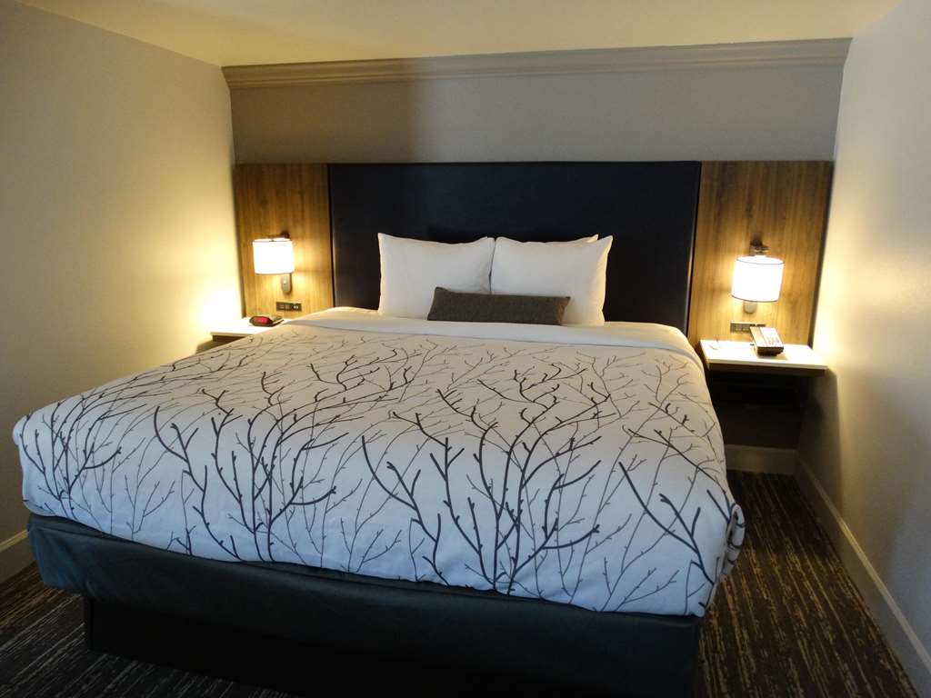 Best Western Premier Denver East - photo 27