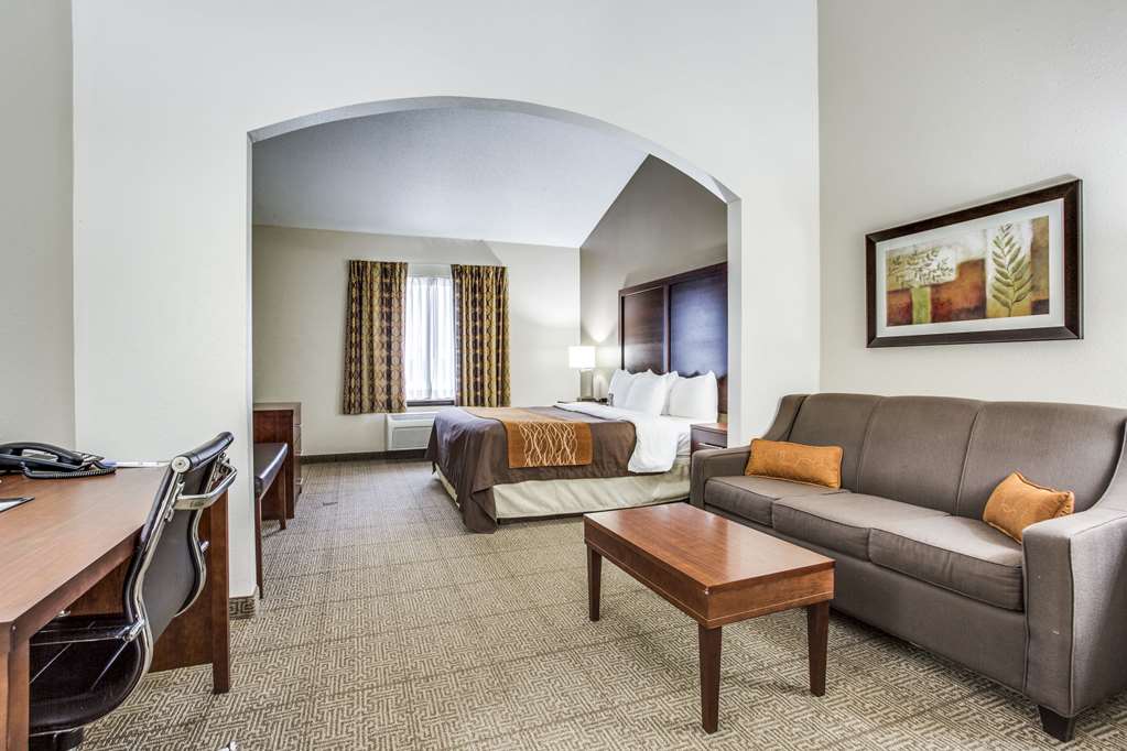 Comfort Inn & Suites Love Field Dallas Market Center - photo 16
