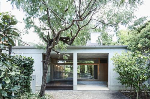 Shibi in Nara-Shi, Japan