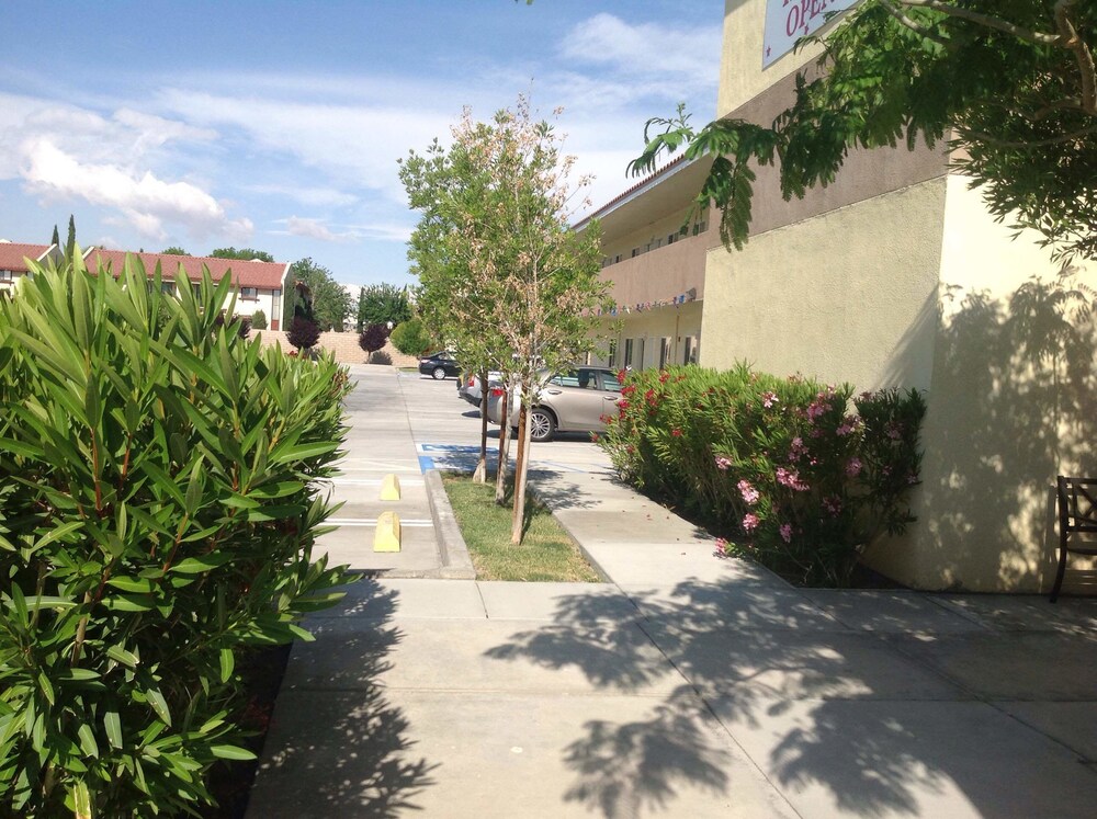 America Inn & Suites - photo 20