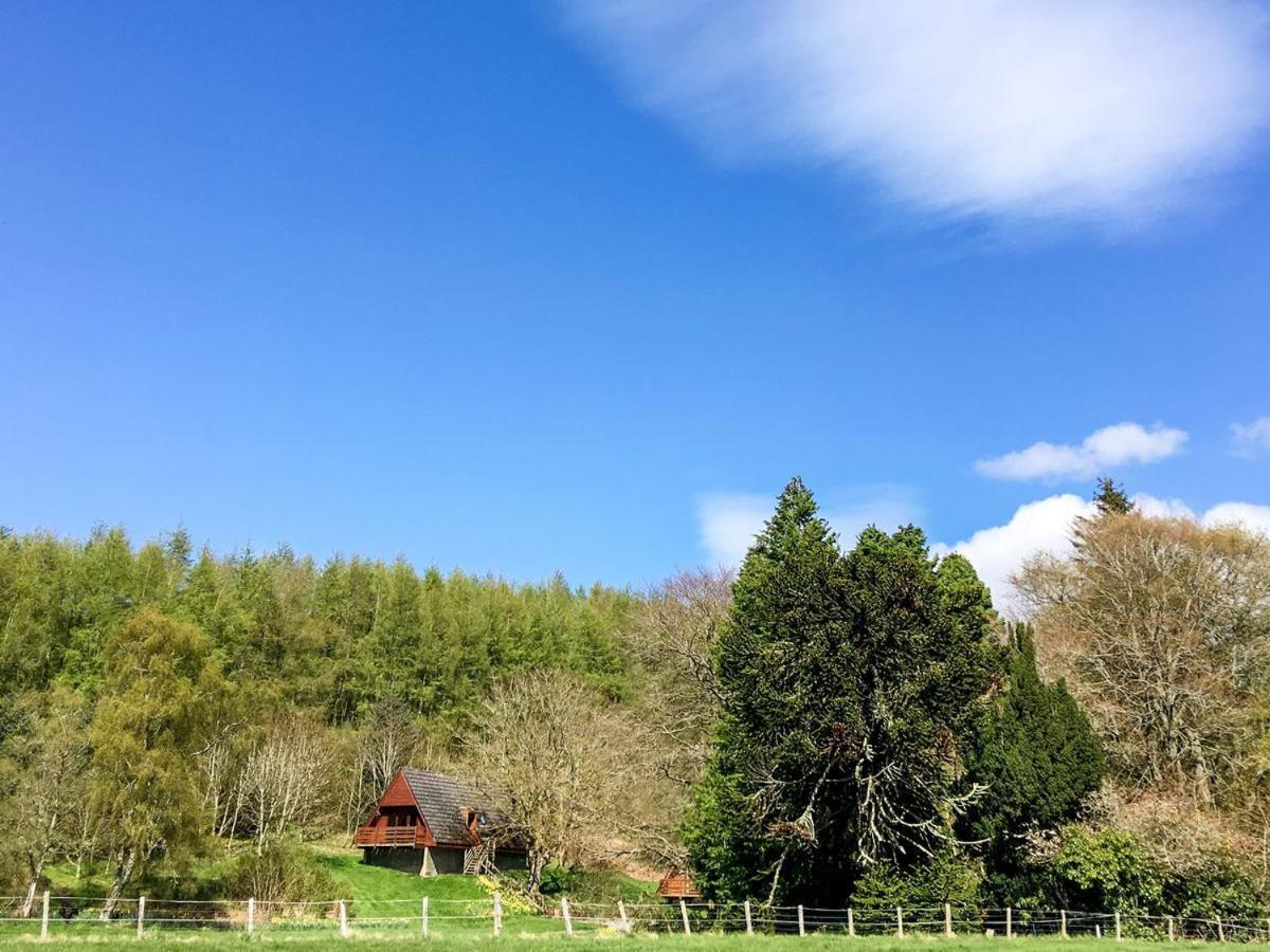 Pine Lodge Uk7049 — 4-Star Luxury Hotel in Fortrose, United Kingdom