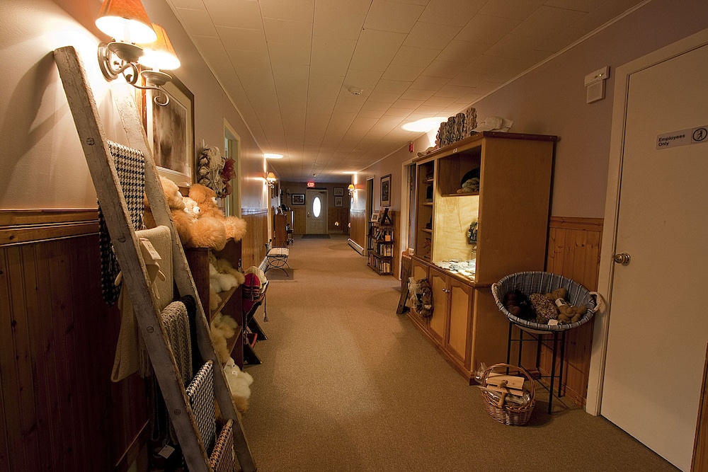 Bromley View Inn - photo 2