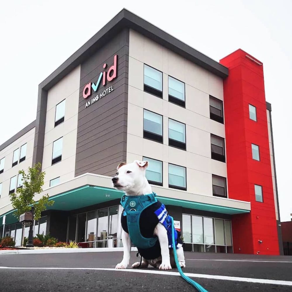 avid hotel Austin NW Lakeline by IHG - photo 55