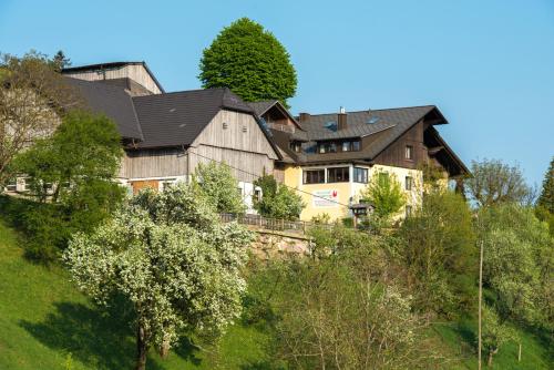 Ferienhof Schneiderweg - last minute hotel in Laussa