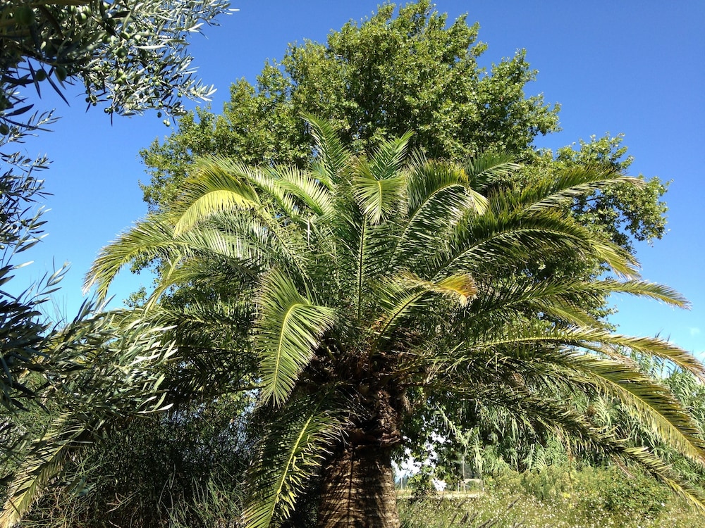 La Clé d’Ailleurs in Orange, France