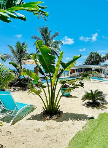 Pension Irivai appartement Uparu 1 chambre bord de mer — 4-Star Luxury Hotel in Uturoa, French Polynesia