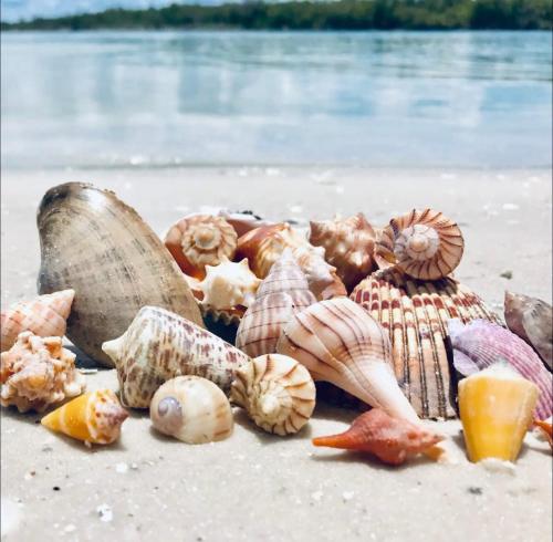 New Ocean Dream Marco Island Private Beach Access — 4-Star Luxury Hotel in Marco Island, United States